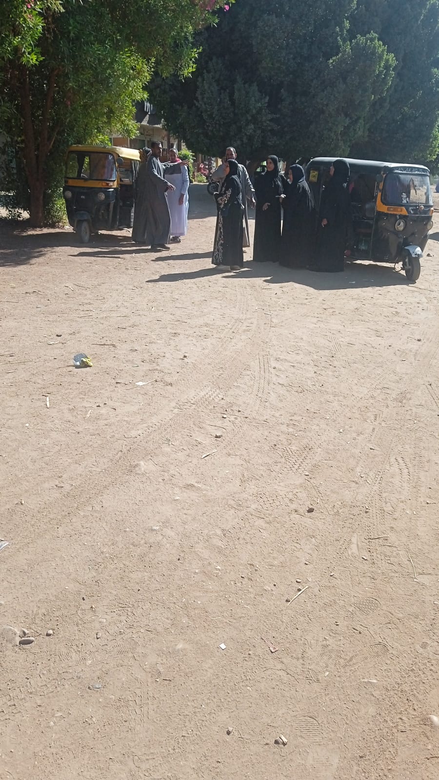 النزول إلى صناديق الإقتراع 